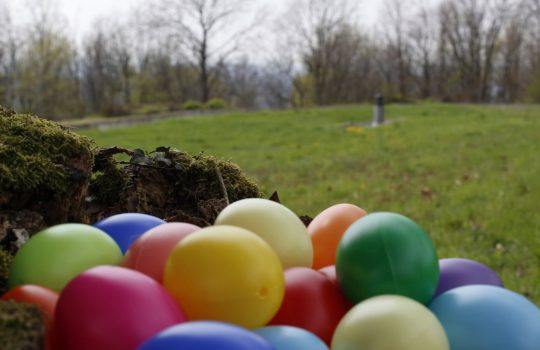 Chasse aux œufs à la chapelle de Ronchamp ©La Porterie/Tous droits réservés